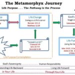 The Metamorphyx Journey: Part V