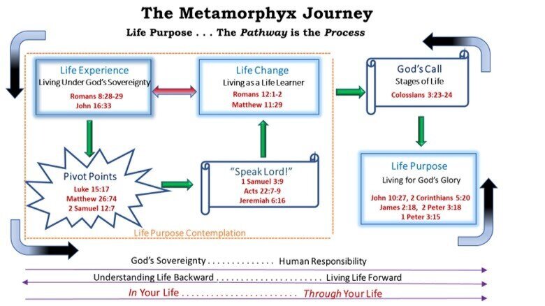 The Metamorphyx Journey: Part V